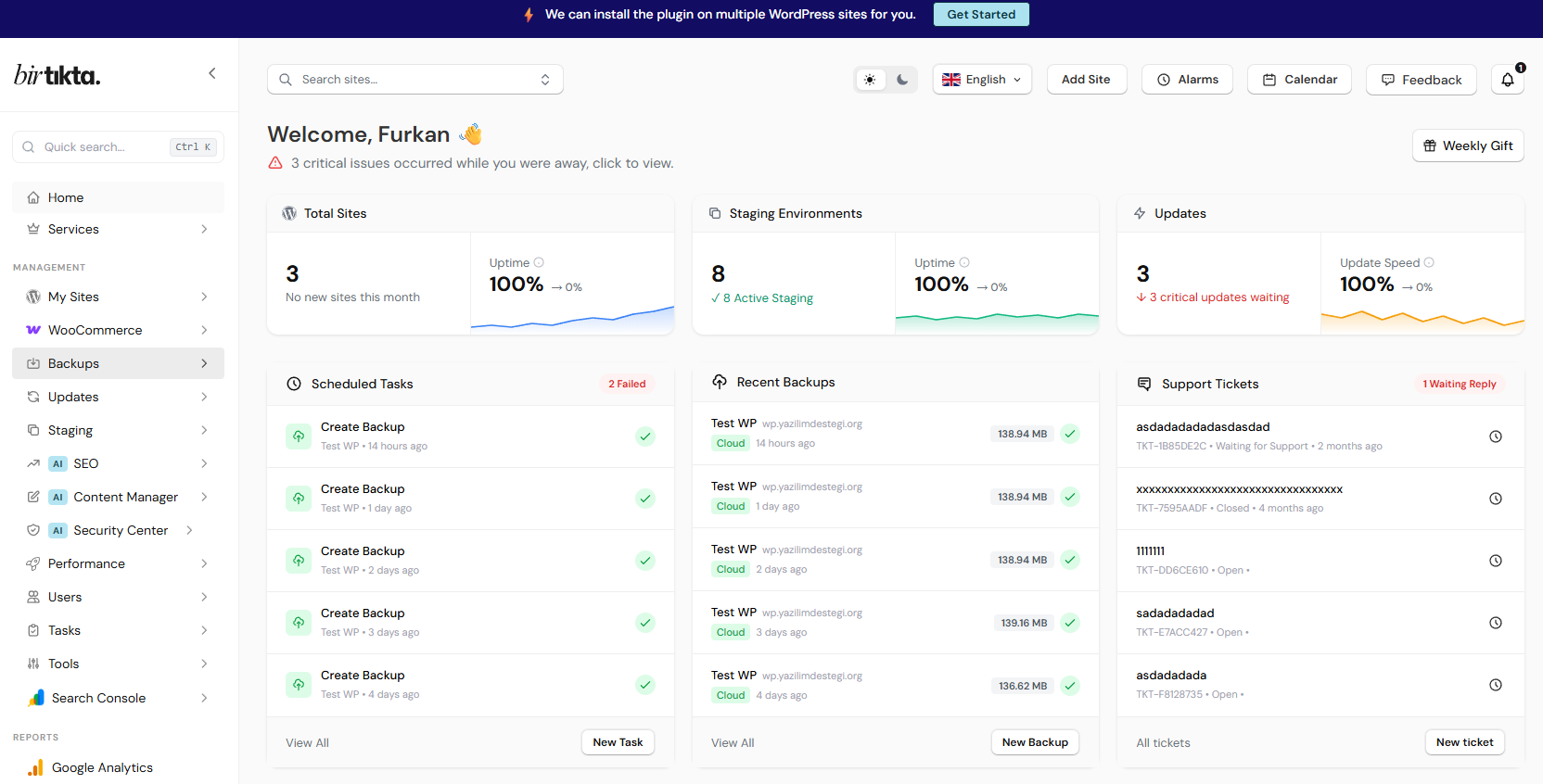 Birtıkta WordPress management dashboard screenshot
